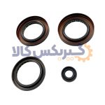 کیت کاسه نمد گیربکس اتوماتیک Punch